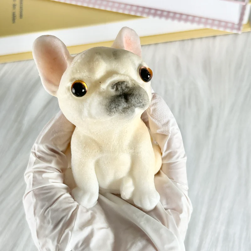 French Bulldog Puppy