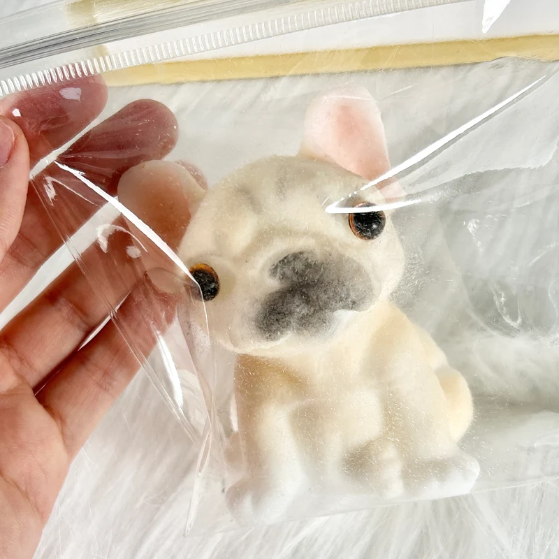 French Bulldog Puppy