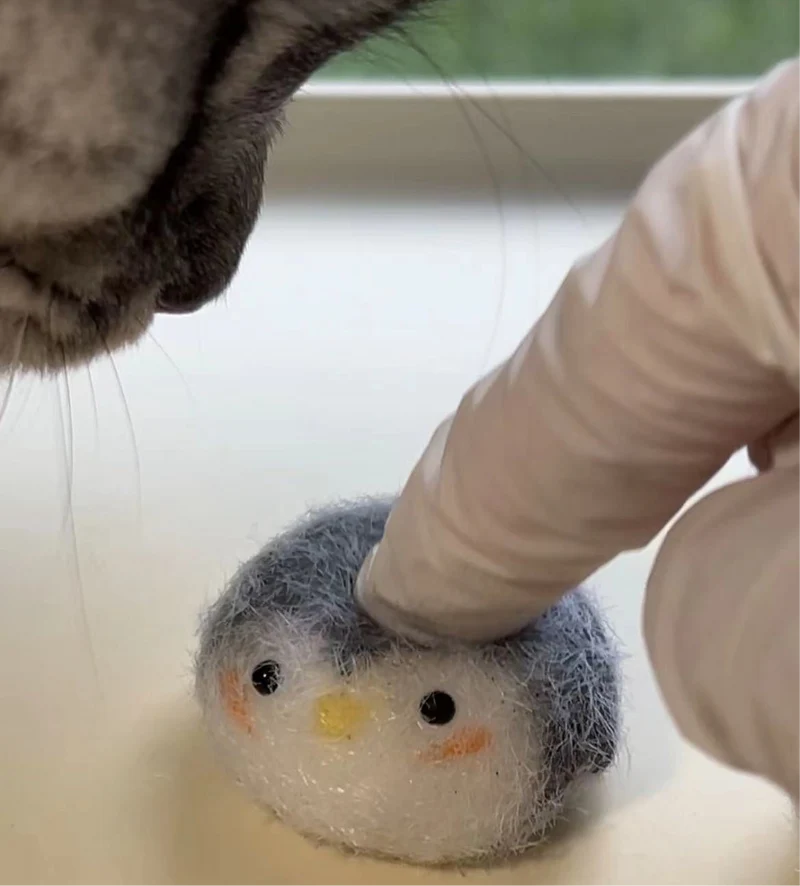 Baby Penguin