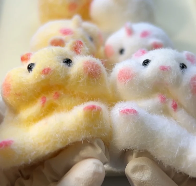 Baby Hamster