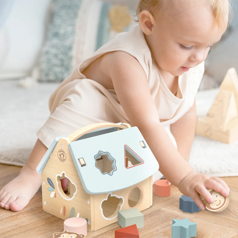 Wooden House Shape Sorter