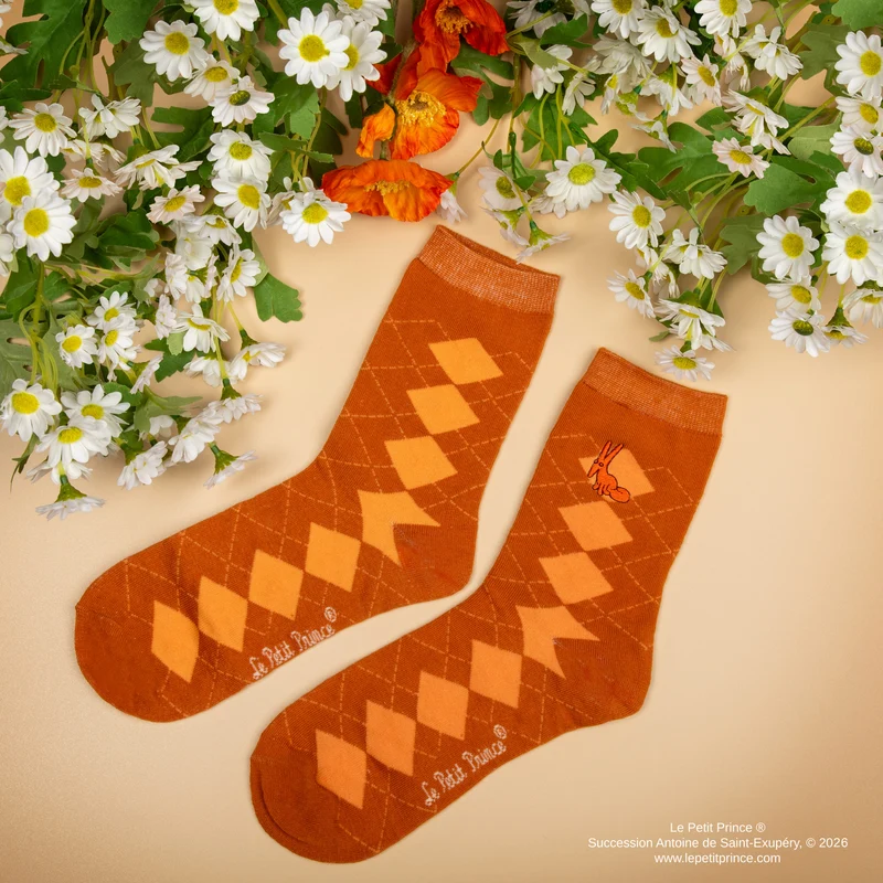 Set of 3 Le Petit Prince Socks