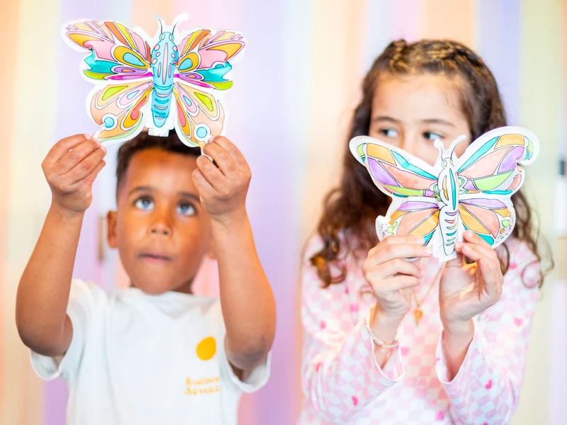 Coloriages gonflables Papillons et strass - Ara Créative