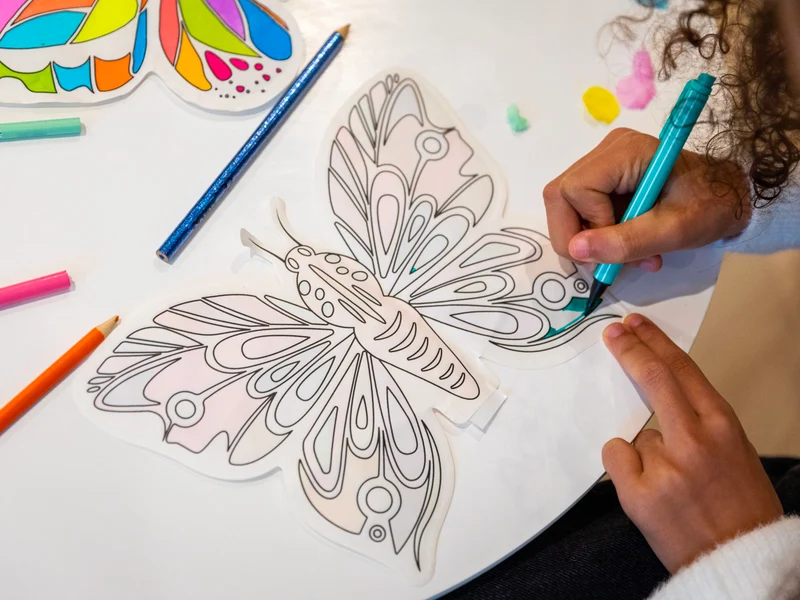 Coloriages gonflables Papillons et strass - Ara Créative