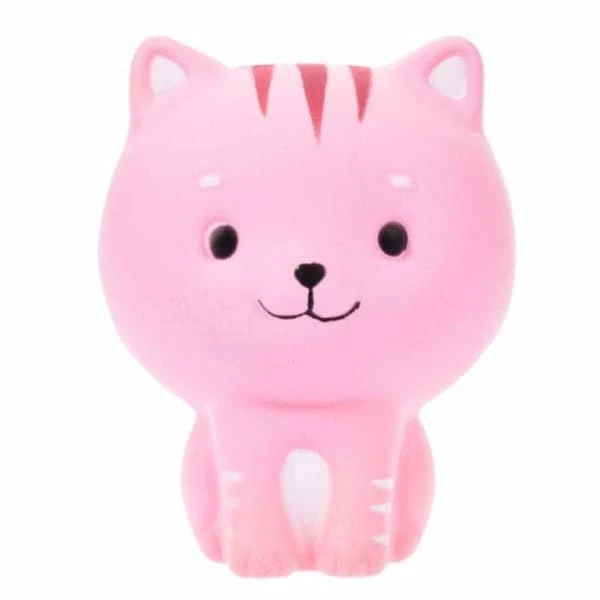 Squishy Chaton