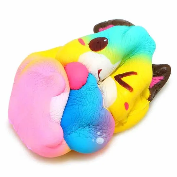 Squishy Chat Arc En Ciel