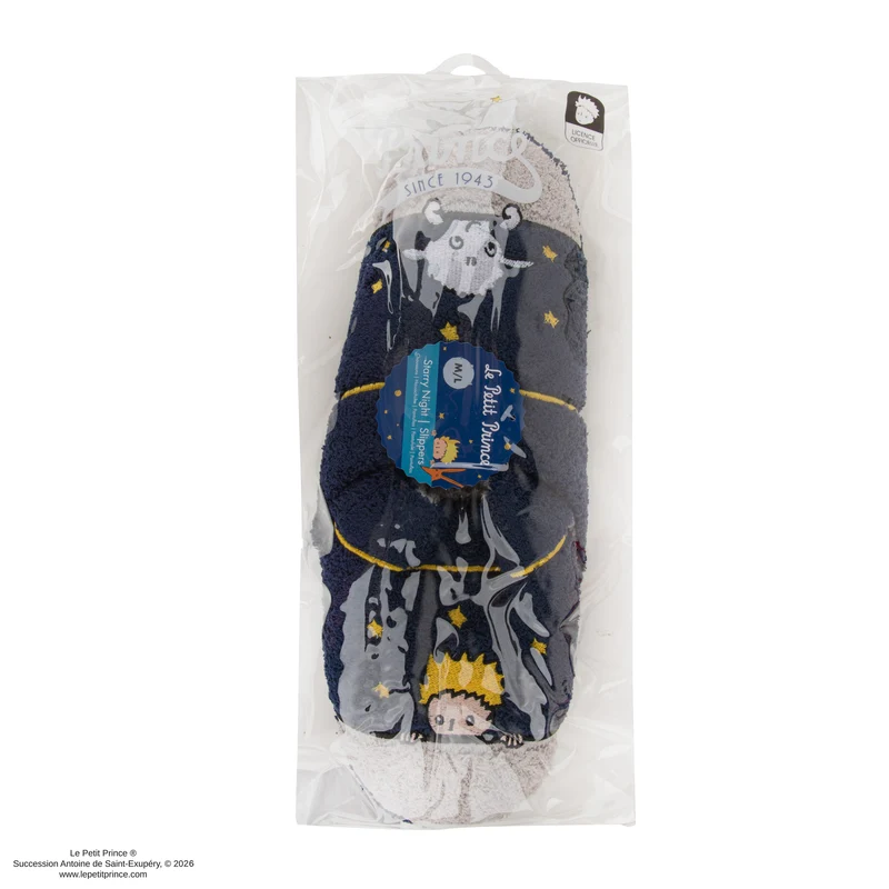 Starry Night Slippers