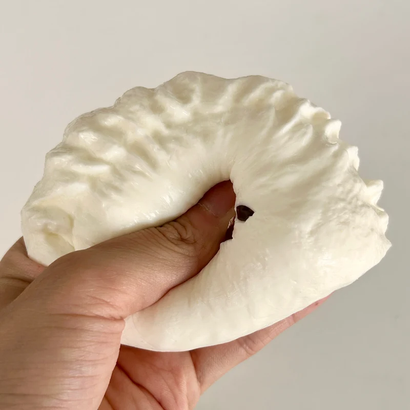 Dumpling Bear