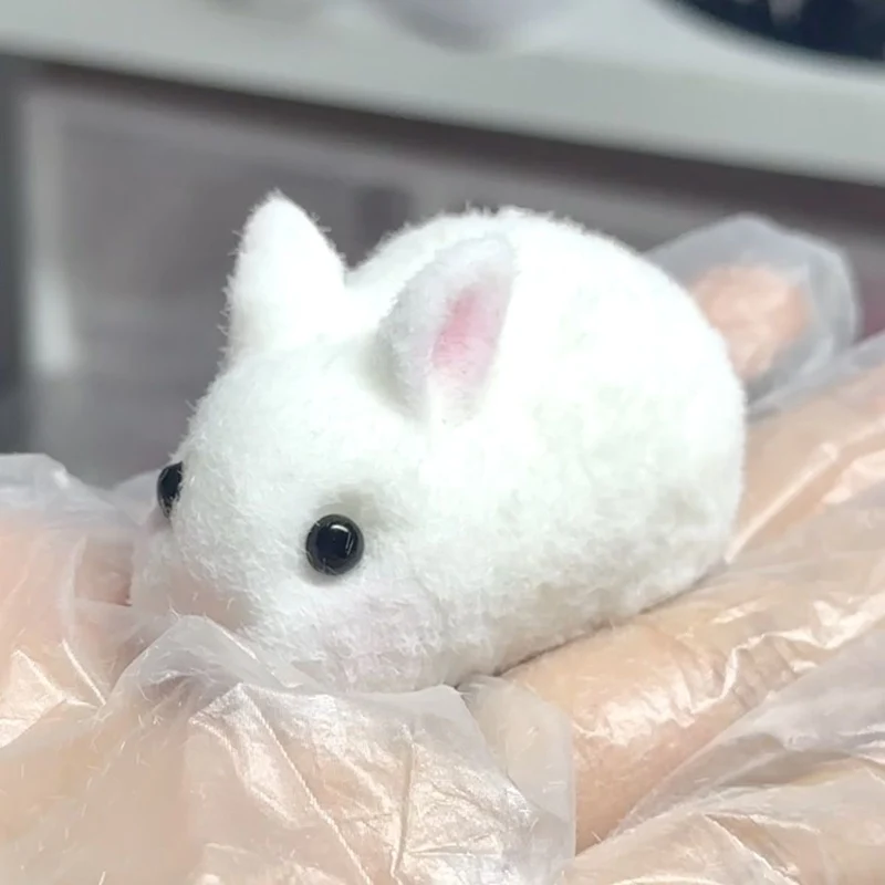 Mini Bunny Rabbit