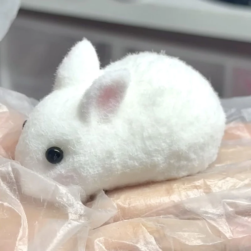 Mini Bunny Rabbit