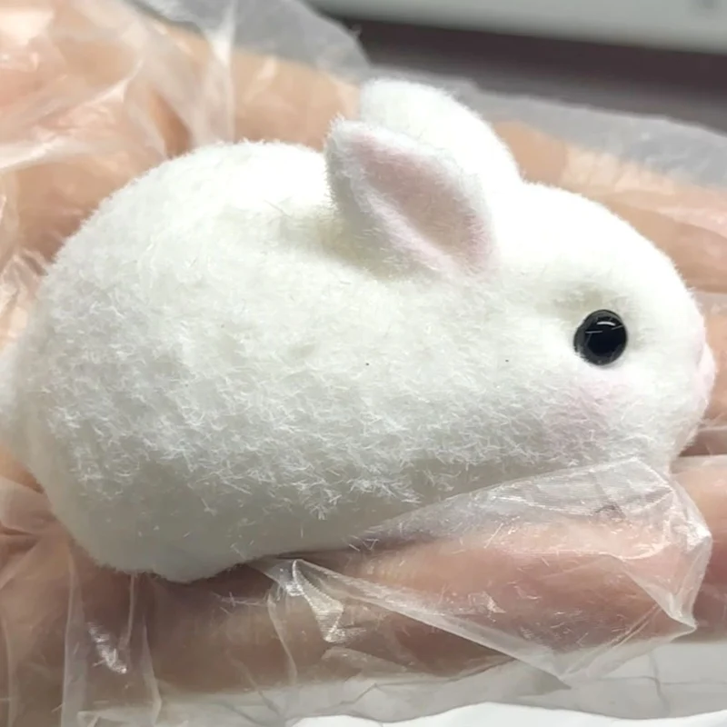 Mini Bunny Rabbit