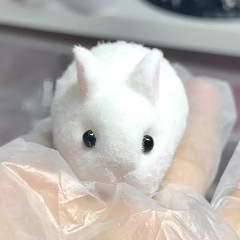 Mini Bunny Rabbit