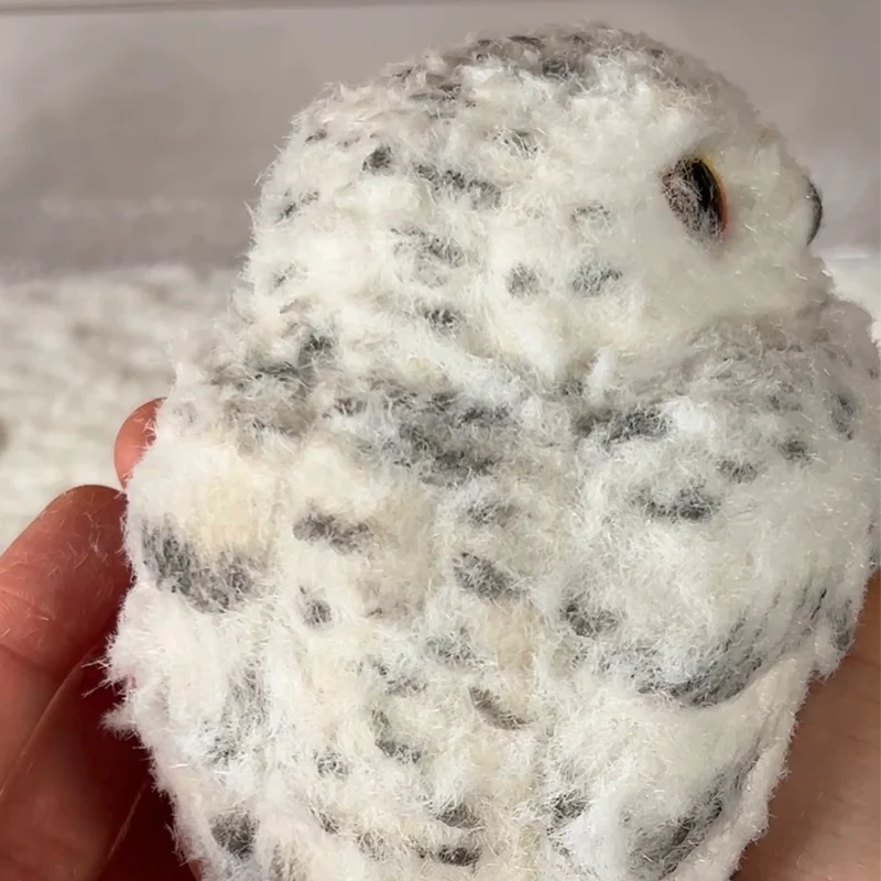 Big Fuzzy Owl