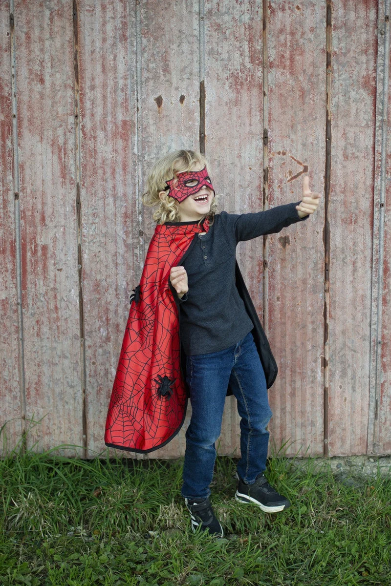 Reversible Spider and Bat Cape with Matching Mask Size 3-4