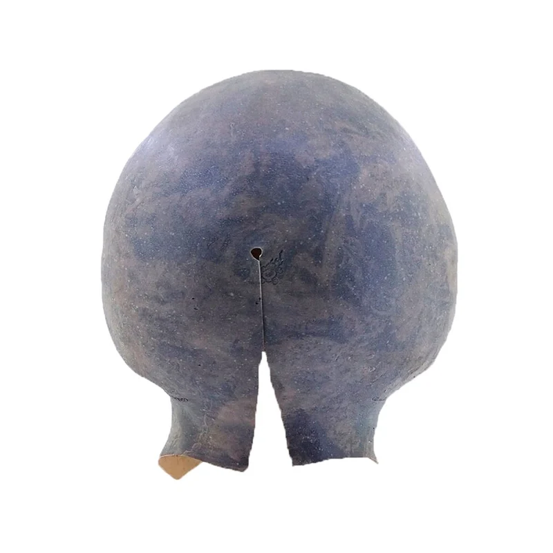 Area 51 Alien Mask for Adults