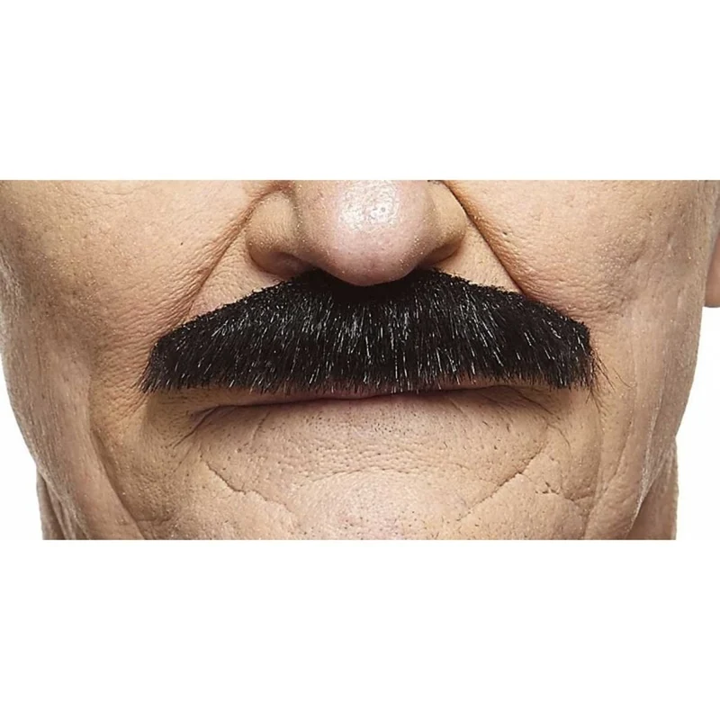 Black Painter Brush Mustache, 1 Count