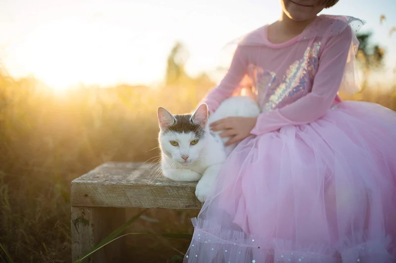 Great Pretenders Enchanting Princess Dress for Girls Special Occasions 5-6