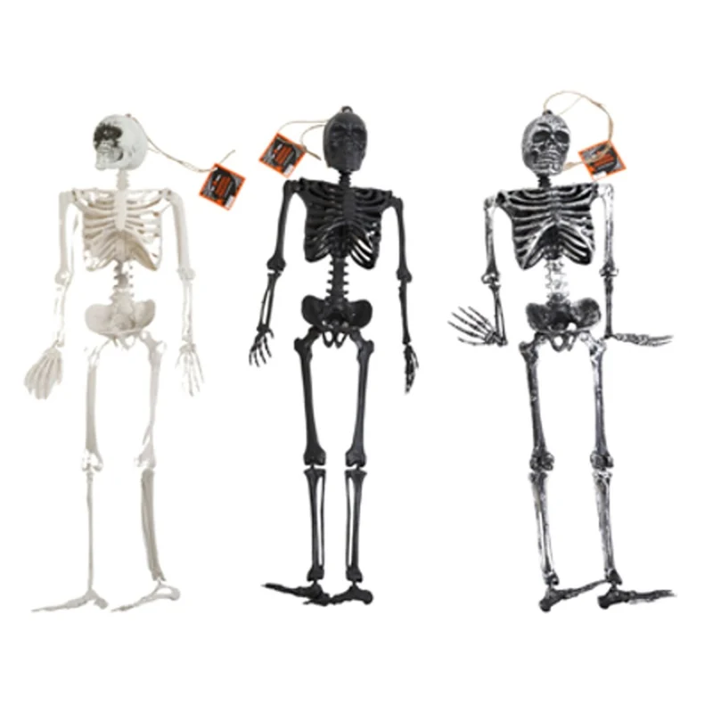 Hanging Skeleton, 24 Inches, Assortment, 1 Count