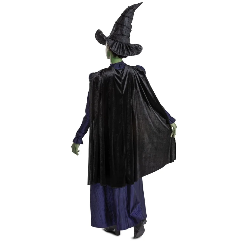 Wicked Elphaba Deluxe Costume for Adults, Purple Dress