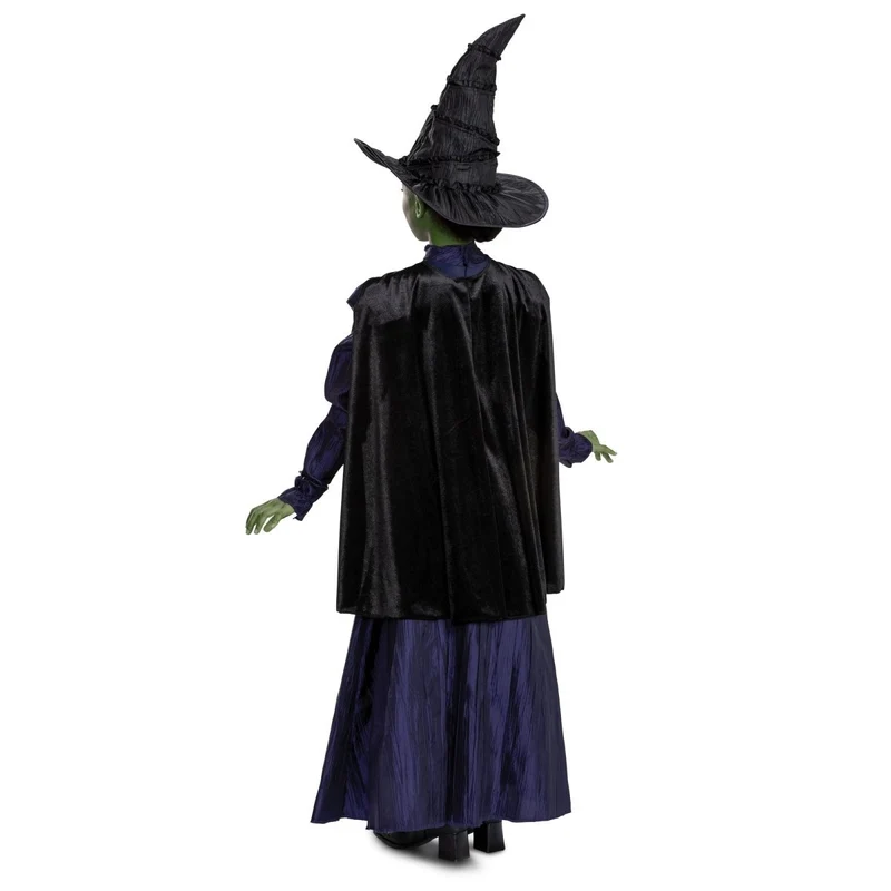 Wicked Elphaba Deluxe Costume for Kids, Purple Dress