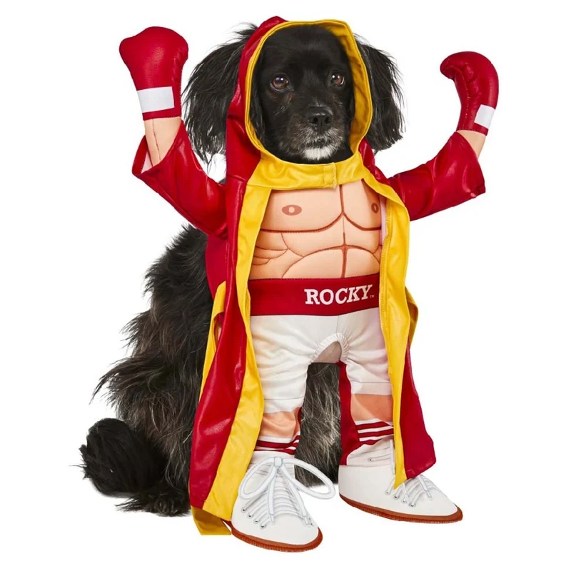 Rocky Balboa Costume for Pets
