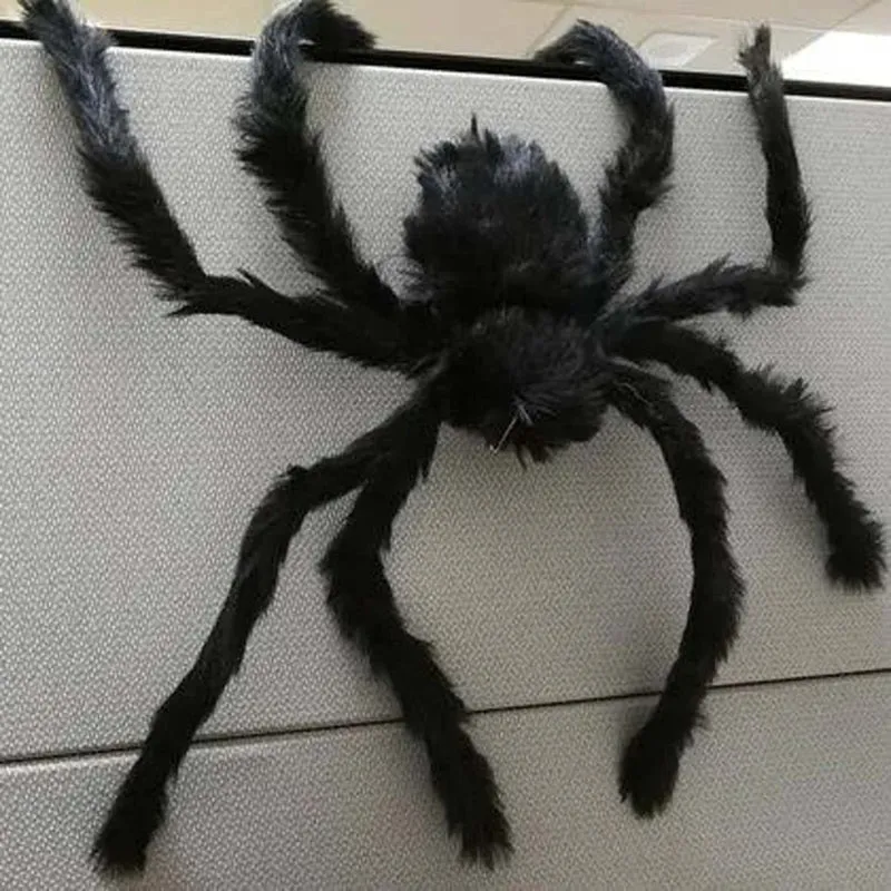 Furry Spider, 1 Count