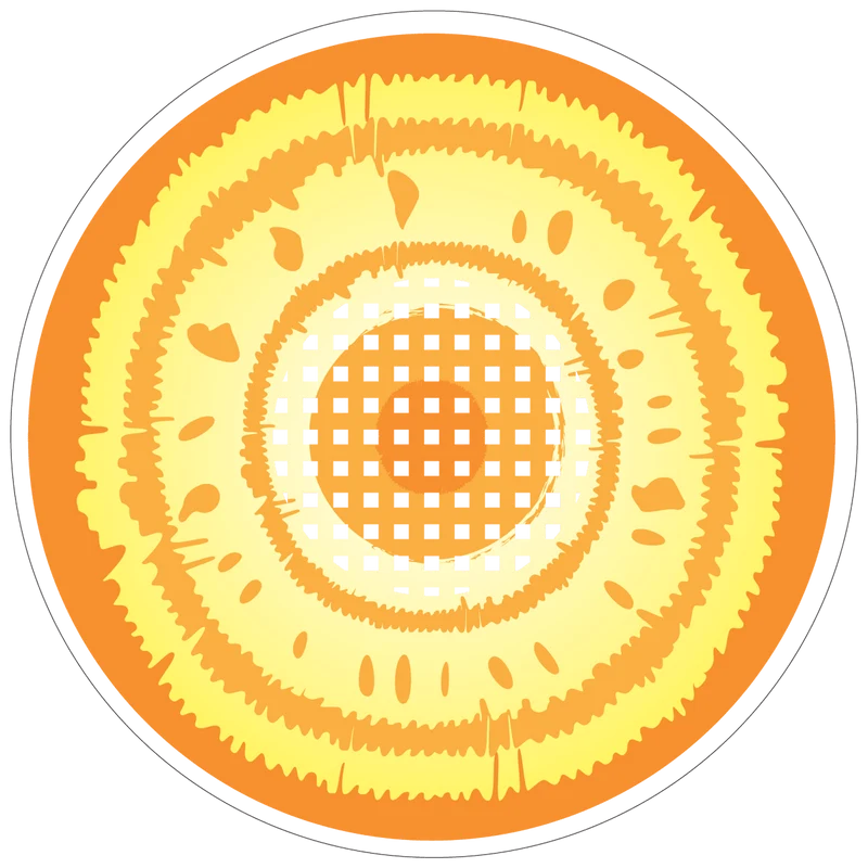 PRIMAL® Makima - Orange & Yellow Cosplay Coloured Contact Lenses, 3 Month Usage