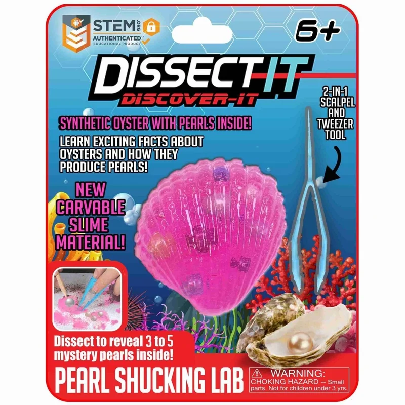 Dissect It, Discover It, 8 Inches, Assortment, 1 Count