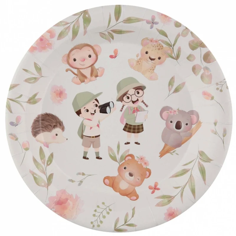 Explorer Birthday Large Round Lunch Paper Plates, 9 Inches, 10 Count