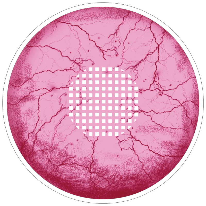PRIMAL® Embryo - Cosplay Pink Coloured Contact Lenses, 3 Month Usage