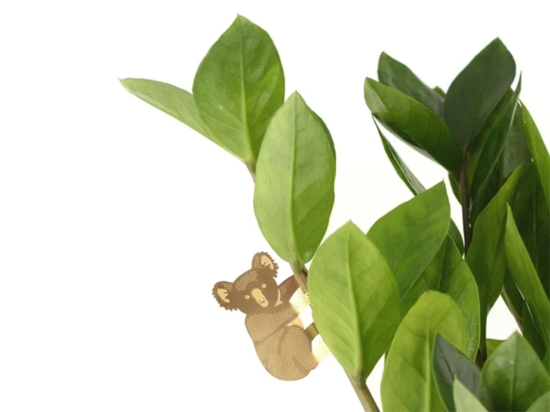 Bijou pour plantes - Koala