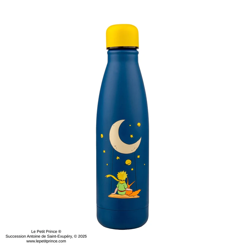 Stargazing Insulated Water Bottle