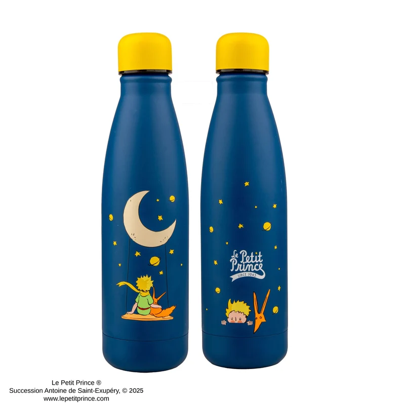 Stargazing Insulated Water Bottle