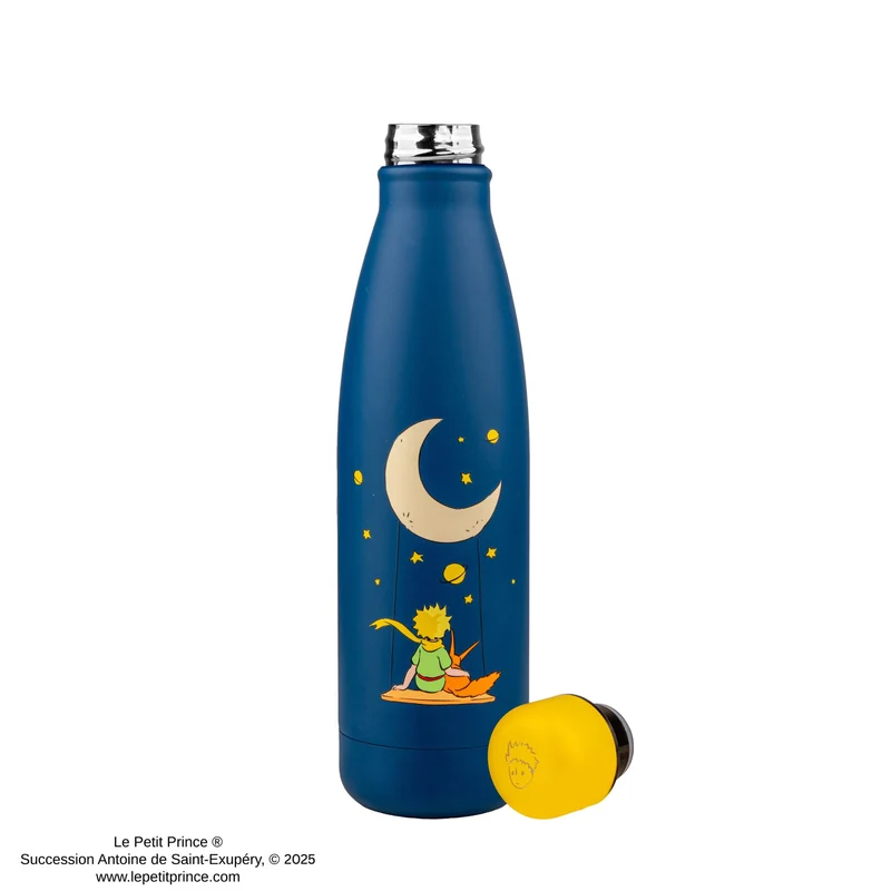 Stargazing Insulated Water Bottle