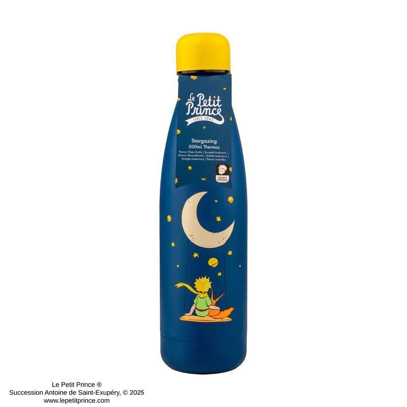 Stargazing Insulated Water Bottle