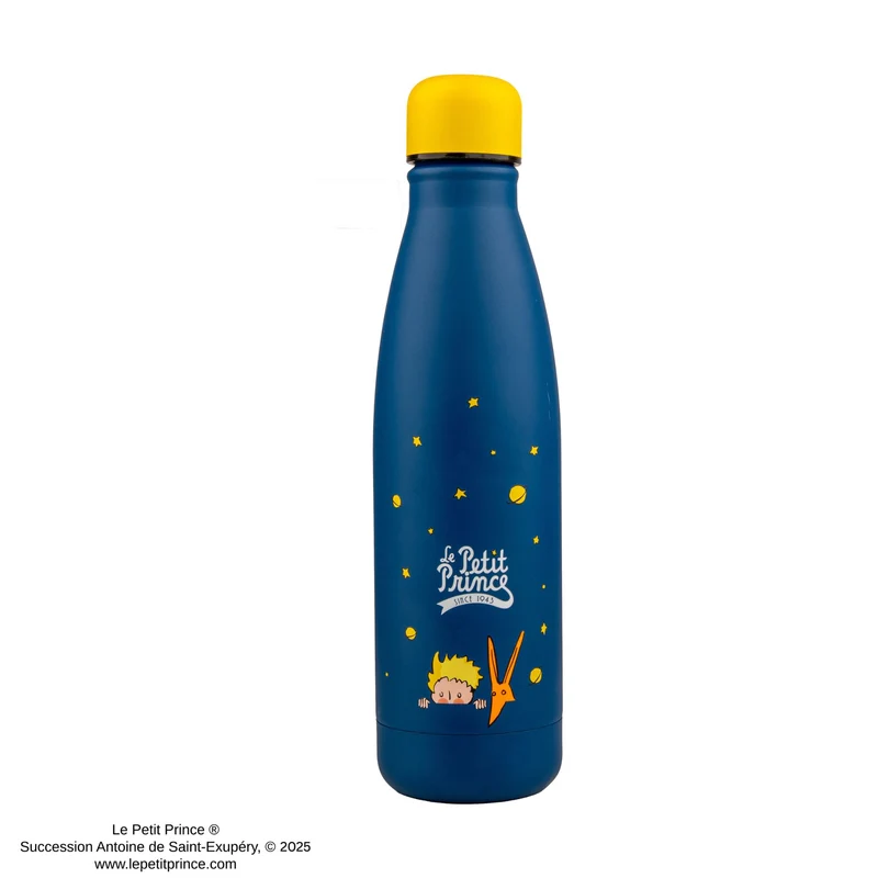 Stargazing Insulated Water Bottle