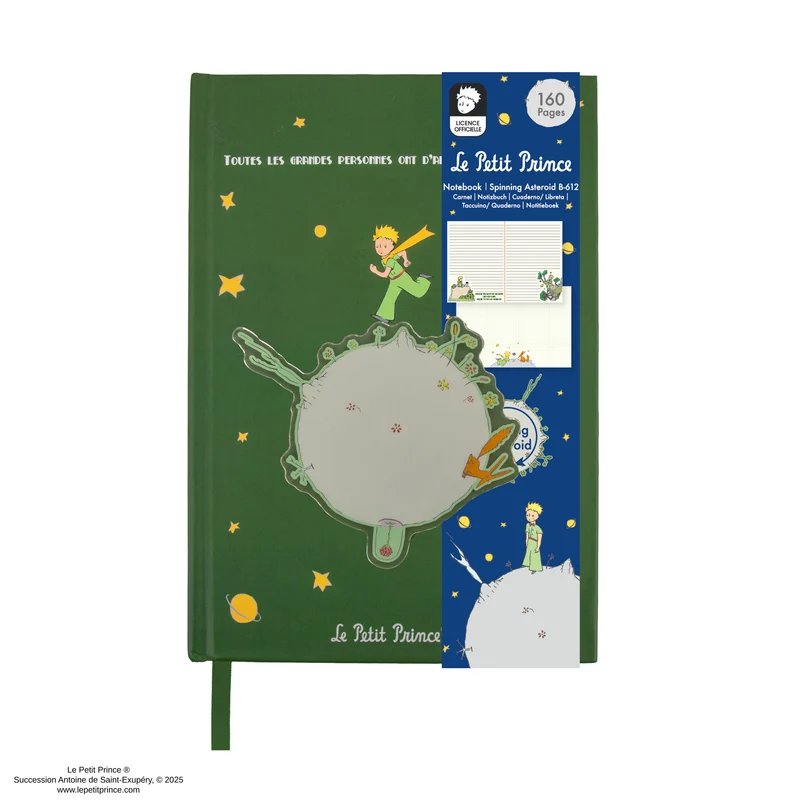 Spinning Asteroid B-612 Notebook