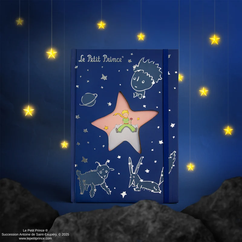 Starry Night Constellations Notebook