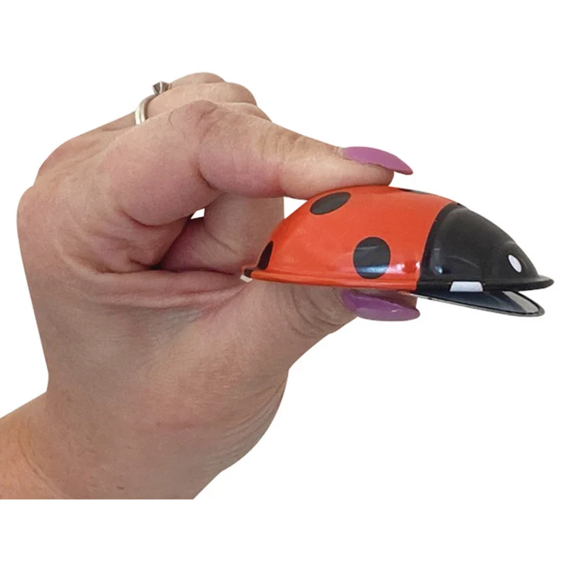 Click Clack Ladybug