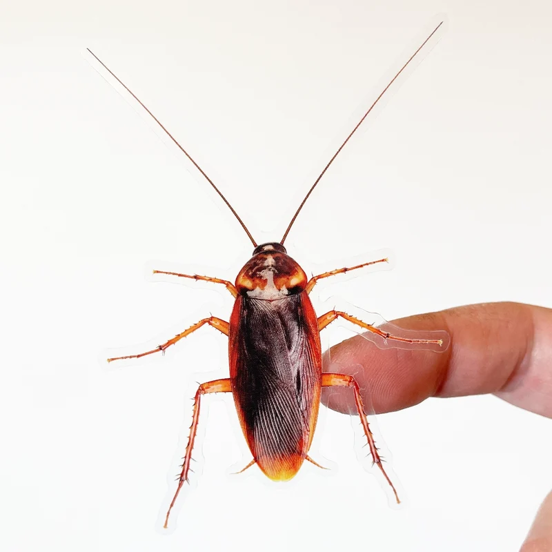 Prank Clear Cockroach Sticker
