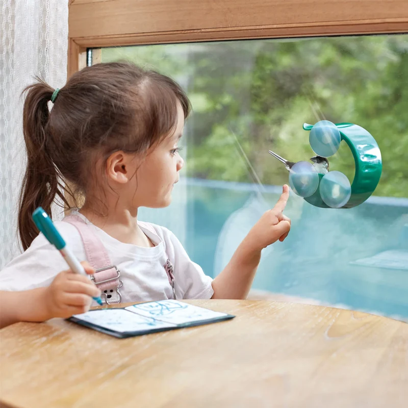 Window Bird Feeder