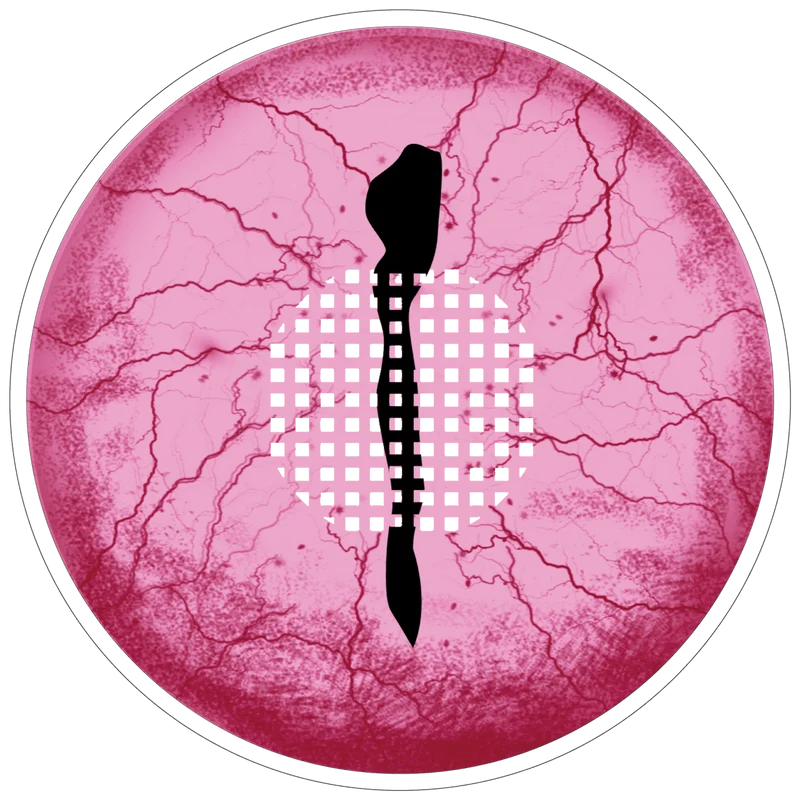 PRIMAL® Demon Slayer - Pink Cosplay Coloured Contact Lenses, 3 months usage