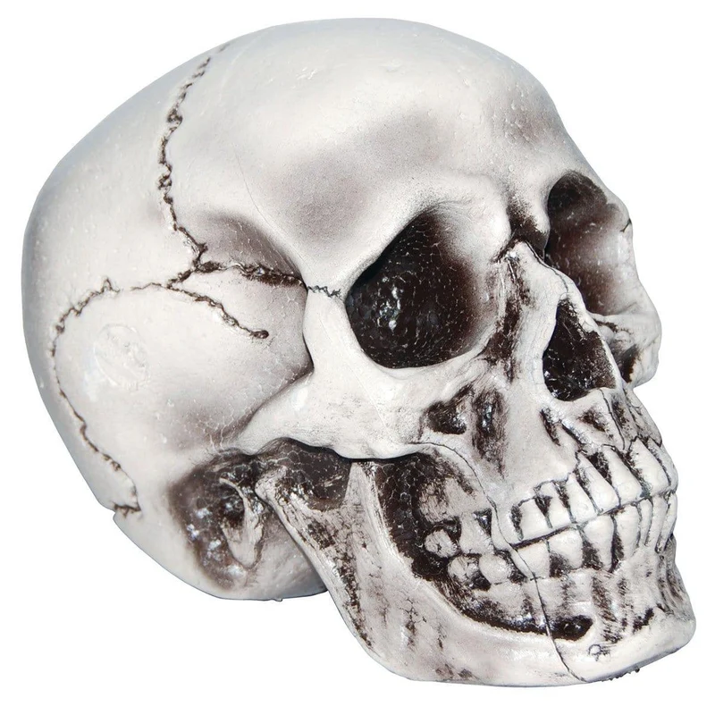 Foam Skull Head