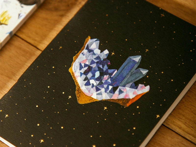Duo de Carnets A6 Curiosity - ATWS