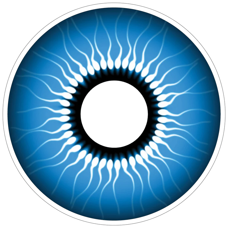 PRIMAL® Chucky - Vivid Blue Coloured Contact Lenses, 3 months usage