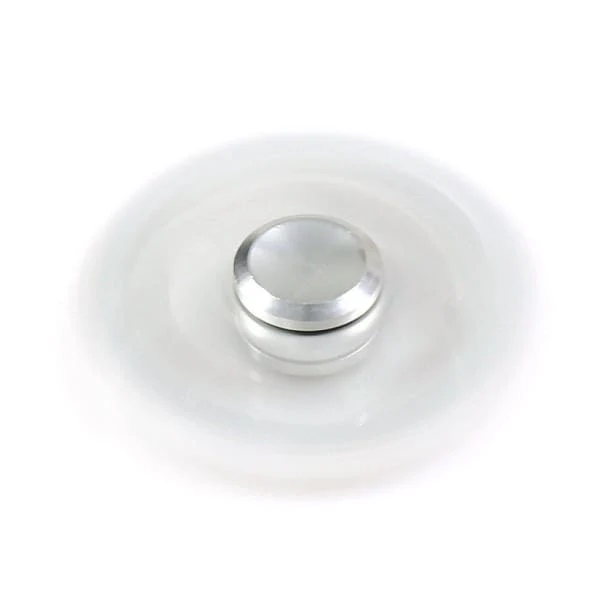 Hand Spinner Dollar