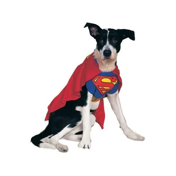 Superman Costume for Dogs