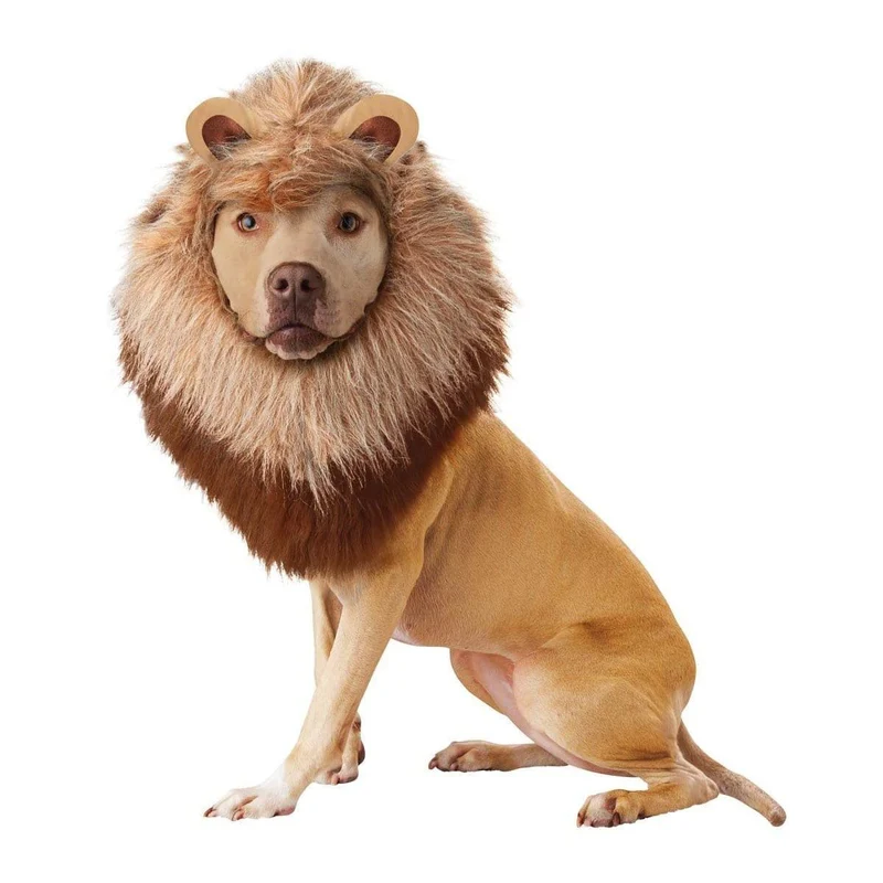 Lion Costume for Dogs