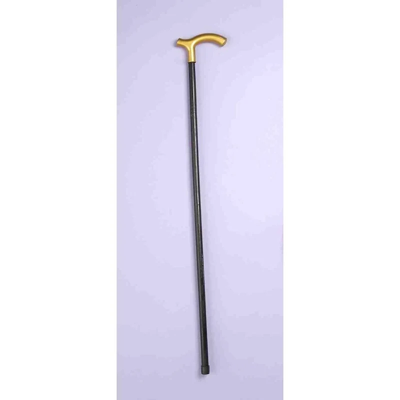 Walking cane