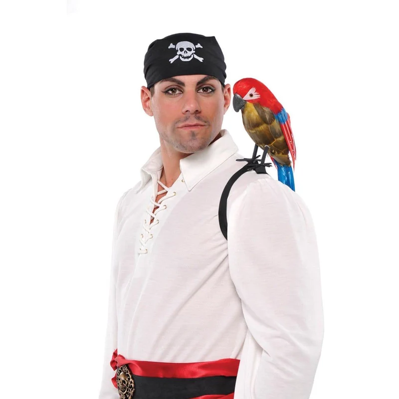 Pirate parrot